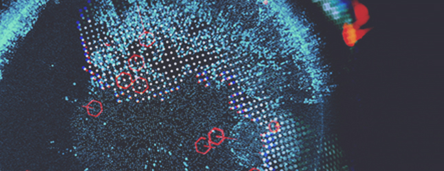 globe visual