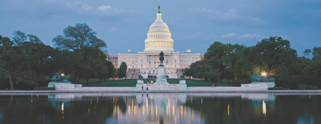 U.S. Capitol with reflecting pond and statue in front