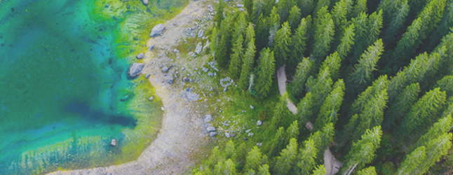 Photograph of a forest and lake from above