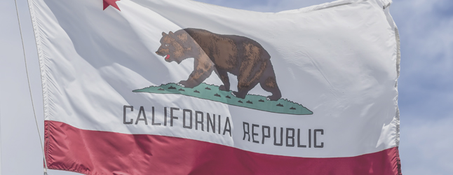 Image of California state flag