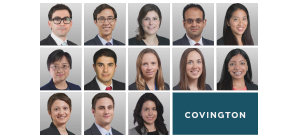 Collage of fourteen lawyer headshots