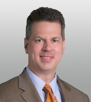 David Stein