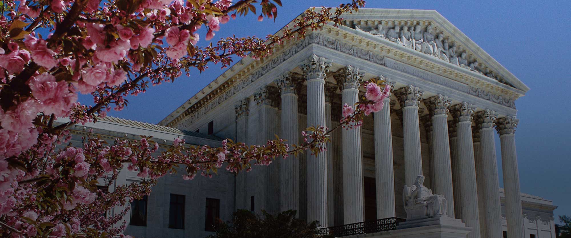 front of the supreme court building with  cherry blossom tree branches  on the side
